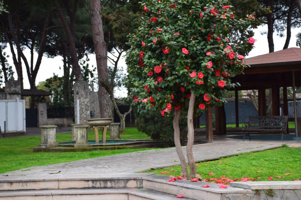 Mancini Park Hotel Rome Buitenkant foto